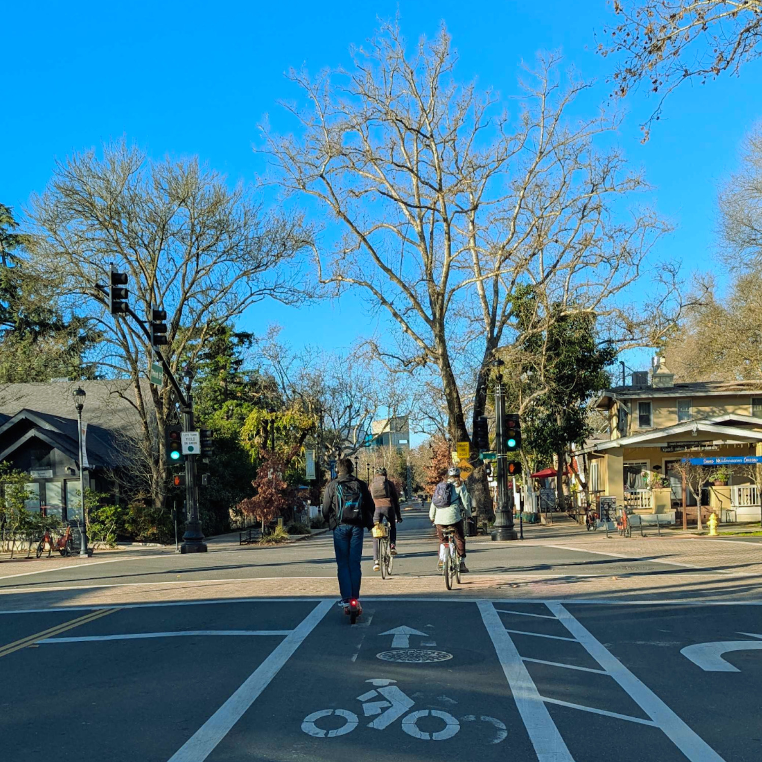 Bike lanes in Davis