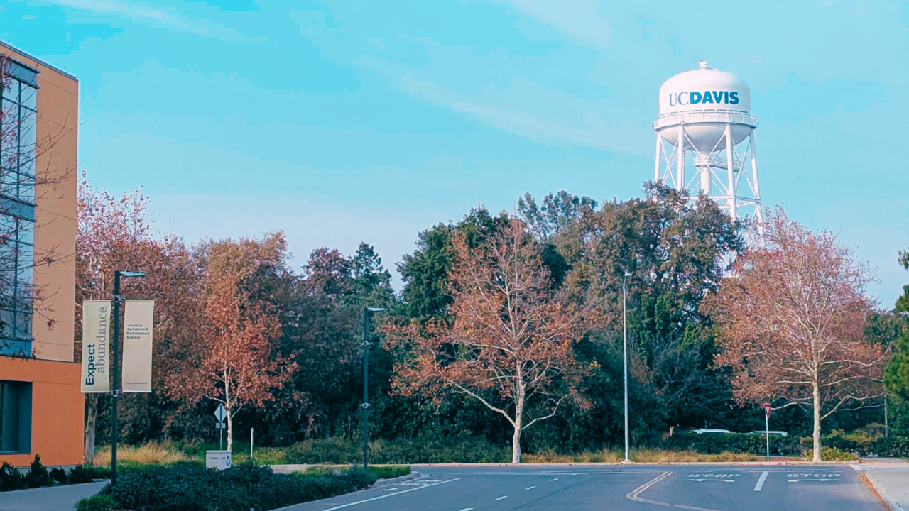 Welcome to Davis | California’s Quintessential College Town